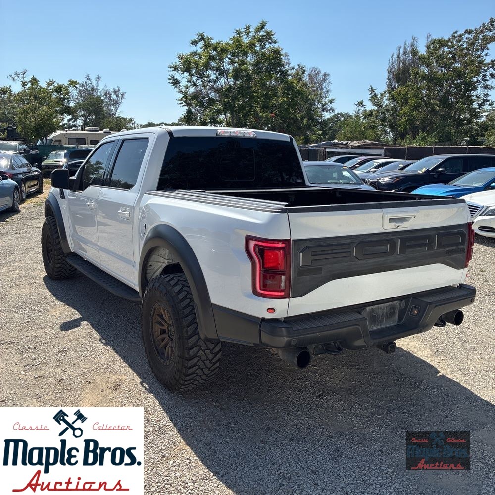 2019 Ford F-150 Raptor