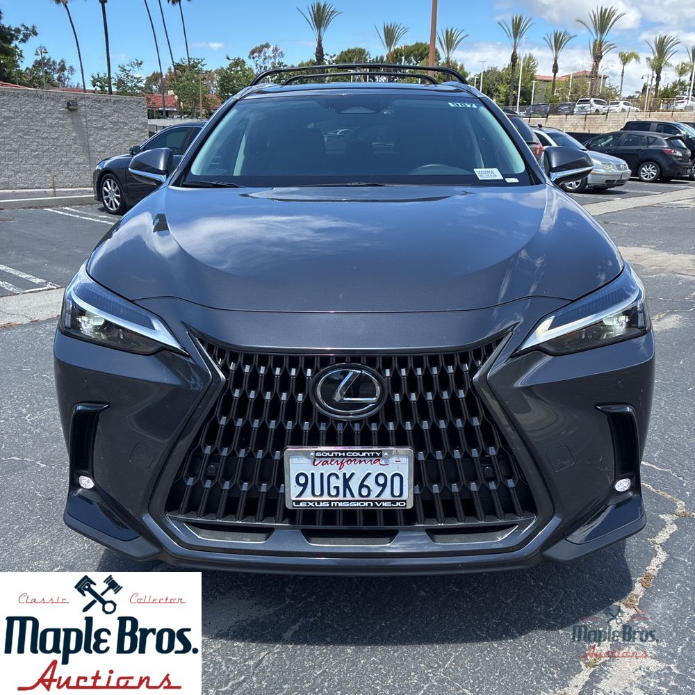 2025 Lexus NX 250 Base
