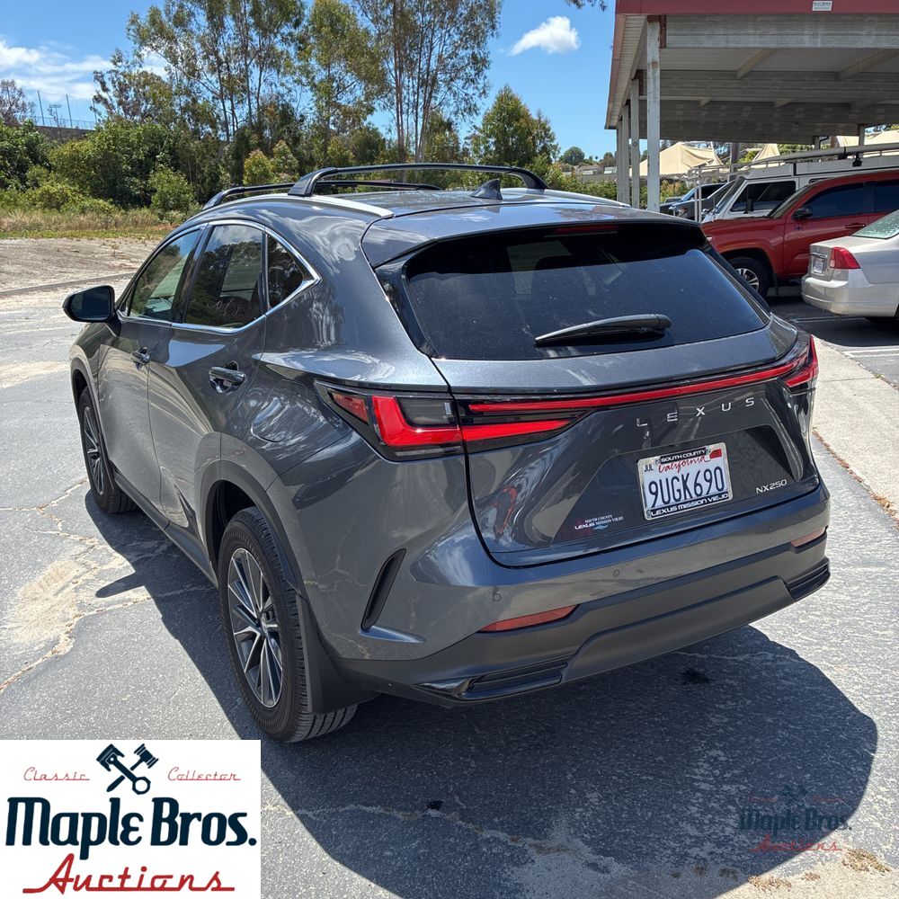 2025 Lexus NX 250 Base