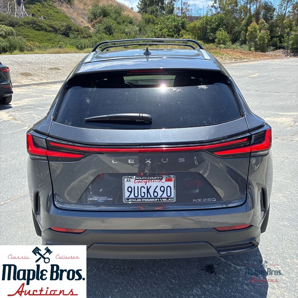2025 Lexus NX 250 Base