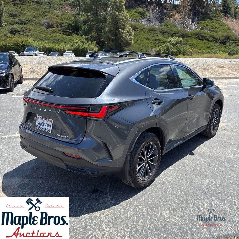 2025 Lexus NX 250 Base