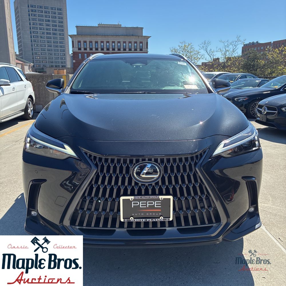 2025 Lexus NX 250 Base