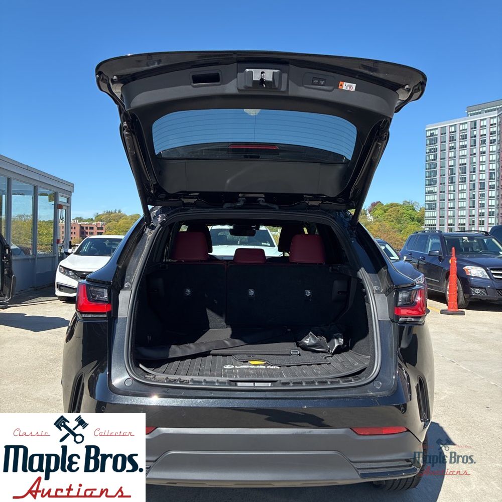 2025 Lexus NX 250 Base