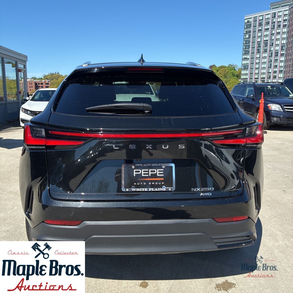 2025 Lexus NX 250 Base
