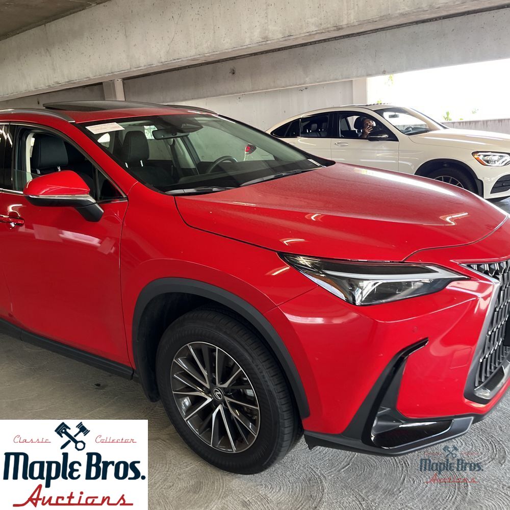 2025 Lexus NX 250 Premium