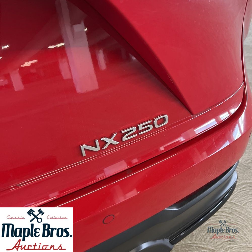 2025 Lexus NX 250 Premium