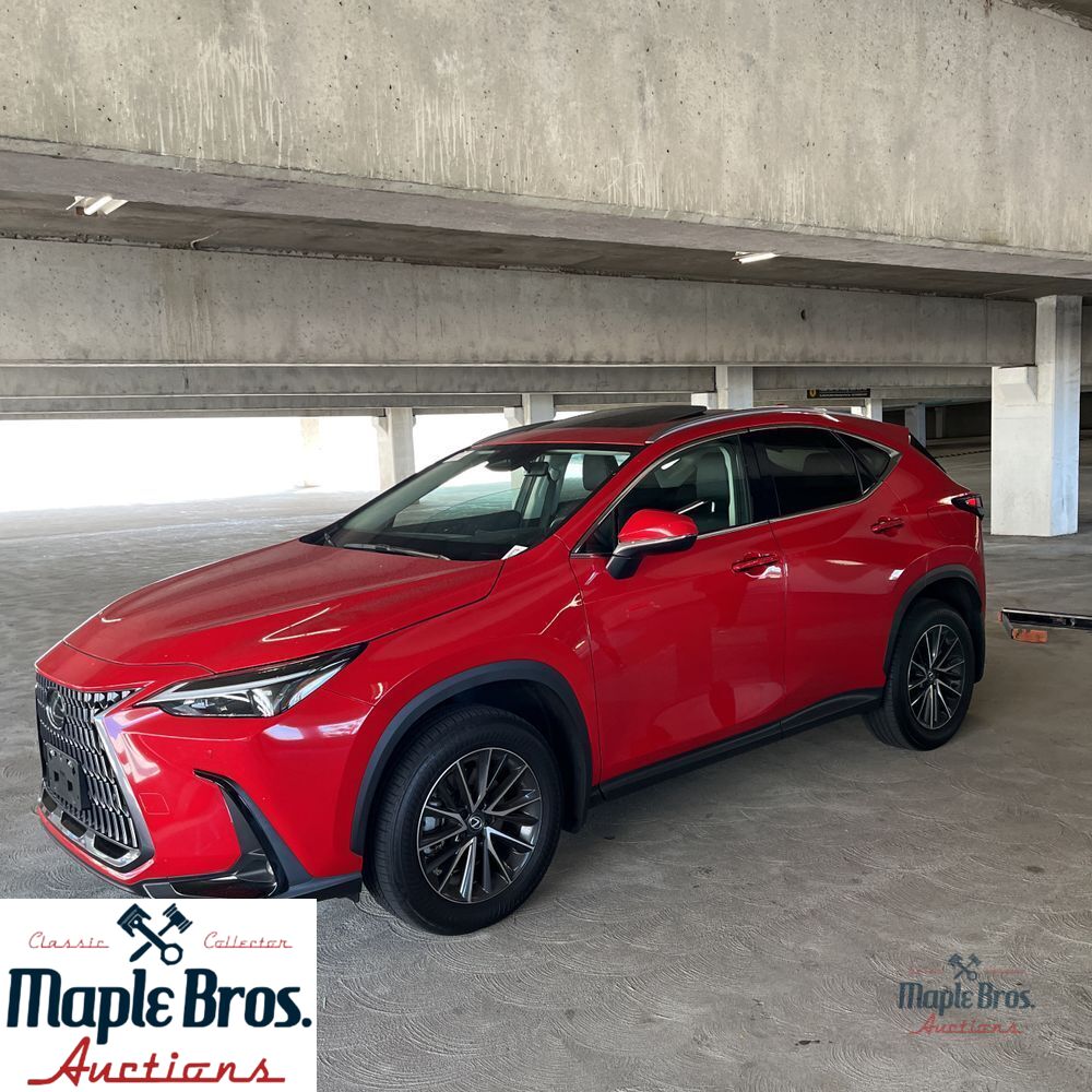 2025 Lexus NX 250 Premium