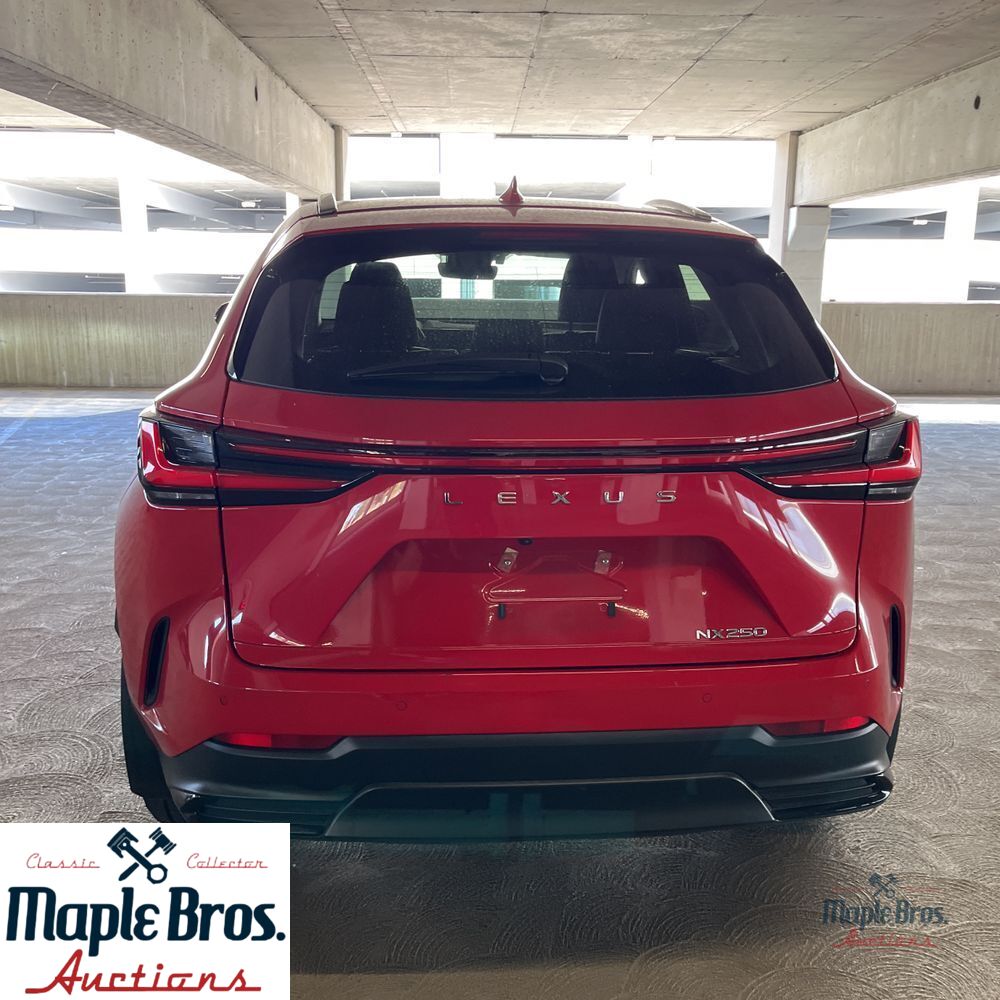 2025 Lexus NX 250 Premium