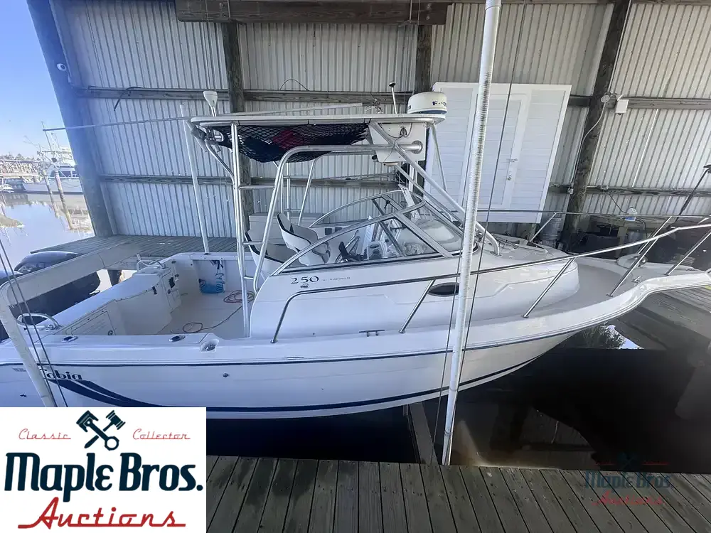 2001 Cobia 250WA