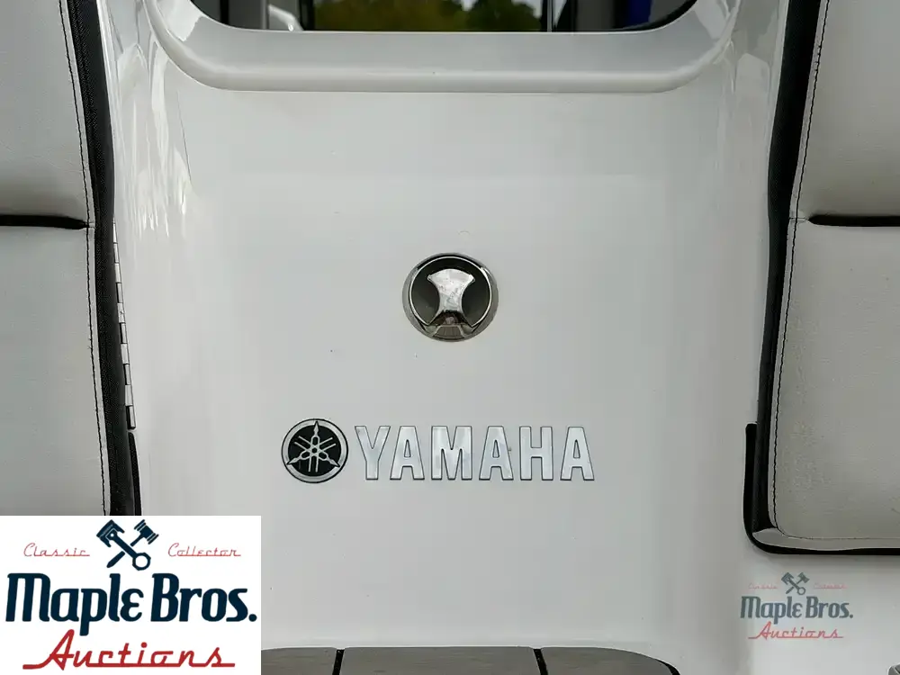 2020 Yamaha Wake Series 242X