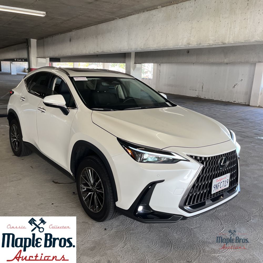 2025 Lexus NX 250 Base