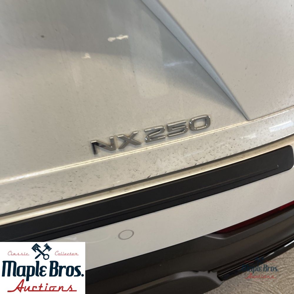 2025 Lexus NX 250 Base