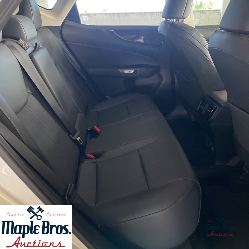 2025 Lexus NX 250 Base