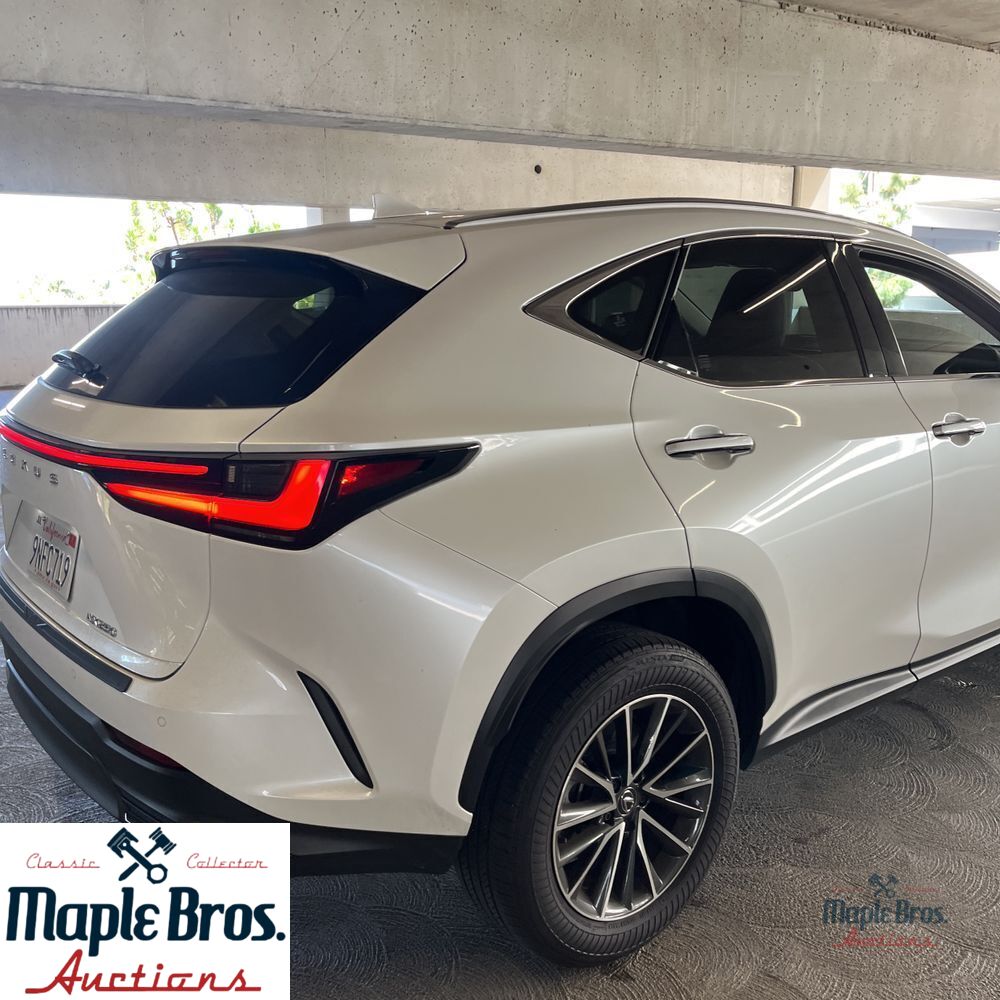 2025 Lexus NX 250 Base