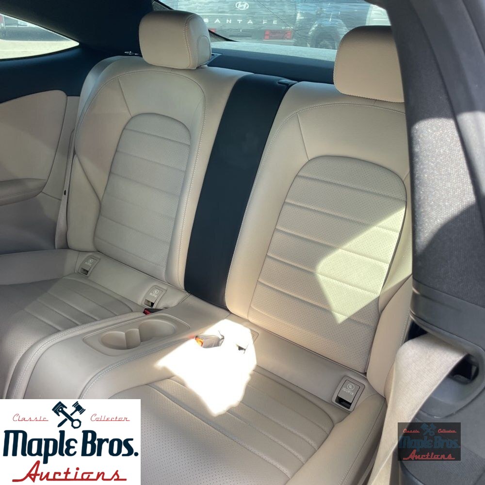 2019 Mercedes-Benz C-Class C 300