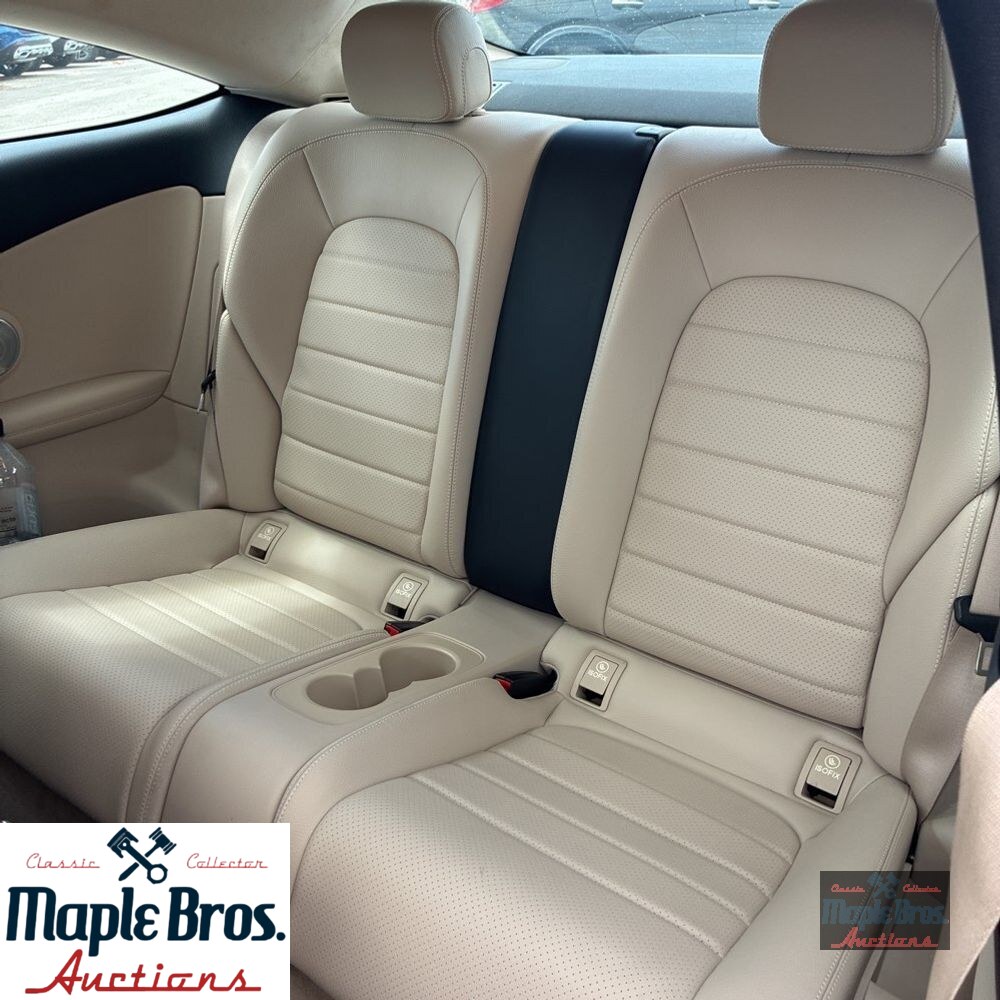2019 Mercedes-Benz C-Class C 300